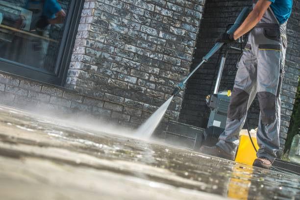 Best Animal Enclosure Cleaning  in Ogdensburg, NY