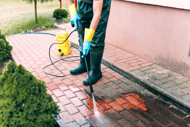 Best Driveway Pressure Washing  in Ogdensburg, NY