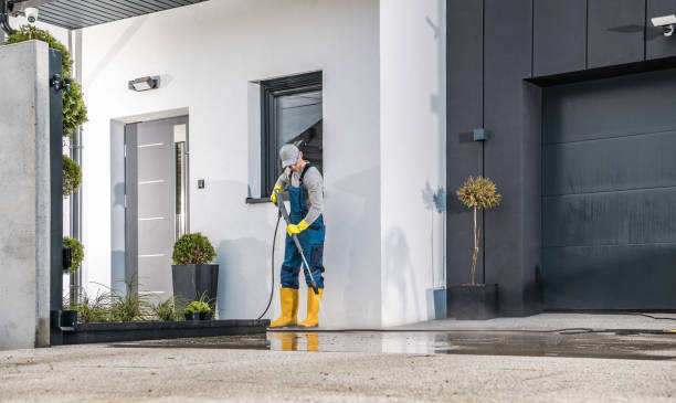 Best Paint Preparation  in Ogdensburg, NY